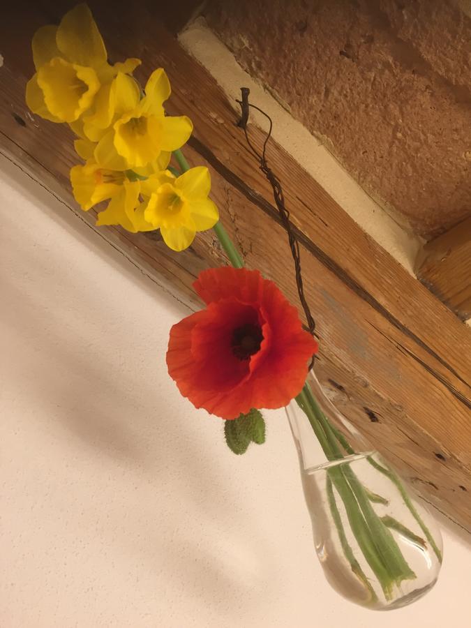 Tabano Ristorante-Casolare Panzió Jesi Kültér fotó